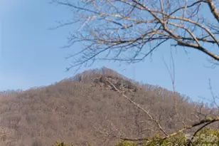 2 Bent Tree Dr, Asheville, NC 28803 - Photo 5