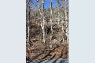 Lot 58 White Oak Mountain Road #58, Columbus, NC 28722 - Photo 7