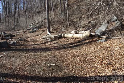 Lot 58 White Oak Mountain Road #58, Columbus, NC 28722 - Photo 27