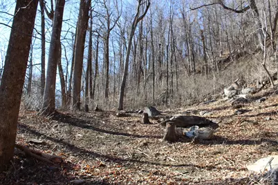 Lot 58 White Oak Mountain Road #58, Columbus, NC 28722 - Photo 19