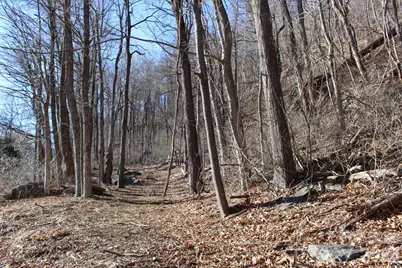 Lot 58 White Oak Mountain Road #58, Columbus, NC 28722 - Photo 29