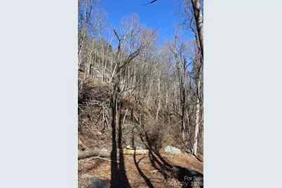 Lot 58 White Oak Mountain Road #58, Columbus, NC 28722 - Photo 17