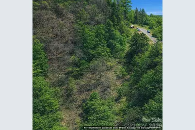 0000 Rogers Cove Road, Waynesville, NC 28785 - Photo 9