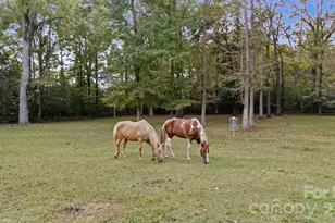 10915 Beatties Ford Rd, Huntersville, NC 28078 - Photo 39