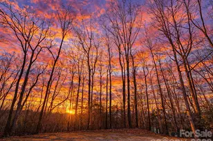 19 Cheestoonaya Way, Brevard, NC 28712 - Photo 1