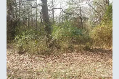 433 Parson Road, Wadesboro, NC 28170 - Photo 5