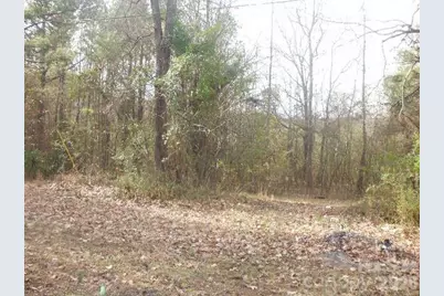 433 Parson Road, Wadesboro, NC 28170 - Photo 3