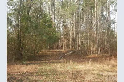 433 Parson Road, Wadesboro, NC 28170 - Photo 9