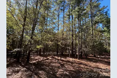 5 Ac Lot 3 Ernandez Road, Richburg, SC 29729 - Photo 11