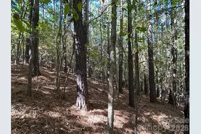 5 Ac Lot 3 Ernandez Road, Richburg, SC 29729 - Photo 35