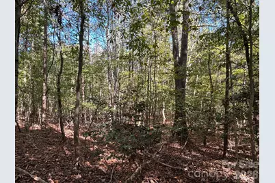 5 Ac Lot 3 Ernandez Road, Richburg, SC 29729 - Photo 21