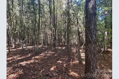 5 Ac Lot 3 Ernandez Road, Richburg, SC 29729 - Photo 3