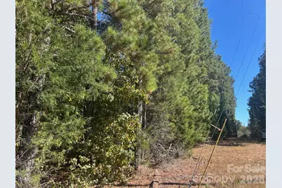 5 Ac Lot 3 Ernandez Road, Richburg, SC 29729 - Photo 17