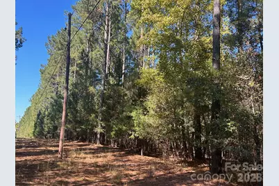 5 Ac Lot 3 Ernandez Road, Richburg, SC 29729 - Photo 9