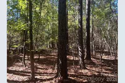 5 Ac Lot 3 Ernandez Road, Richburg, SC 29729 - Photo 5
