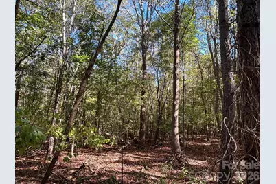 5 Ac Lot 3 Ernandez Road, Richburg, SC 29729 - Photo 19
