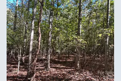 5 Ac Lot 3 Ernandez Road, Richburg, SC 29729 - Photo 23