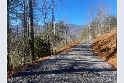 000 Blue Vista Road, Canton, NC 28716 - Photo 5