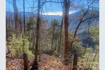 000 Blue Vista Road, Canton, NC 28716 - Photo 1