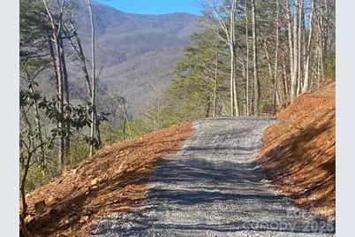 000 Blue Vista Road, Canton, NC 28716 - Photo 7