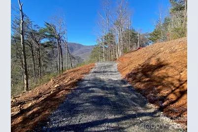 000 Blue Vista Road, Canton, NC 28716 - Photo 9