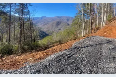 000 Blue Vista Road, Canton, NC 28716 - Photo 17