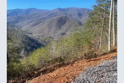 000 Blue Vista Road, Canton, NC 28716 - Photo 11