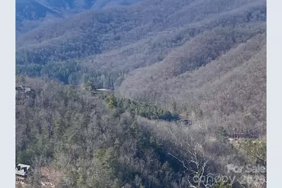 000 Blue Vista Road, Canton, NC 28716 - Photo 21