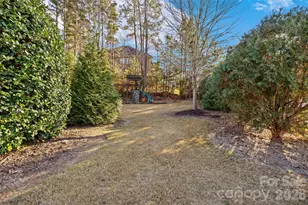 16532 Flintrock Falls Ln, Charlotte, NC 28278 - Photo 39