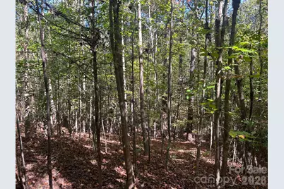 5 Ac Lot 4 Ernandez Road, Richburg, SC 29729 - Photo 31