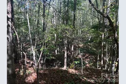 5 Ac Lot 4 Ernandez Road, Richburg, SC 29729 - Photo 27