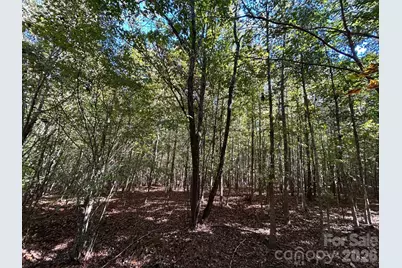5 Ac Lot 5 Ernandez Road, Richburg, SC 29729 - Photo 25