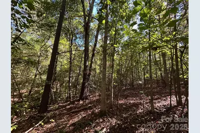 5 Ac Lot 5 Ernandez Road, Richburg, SC 29729 - Photo 29