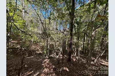5 Ac Lot 5 Ernandez Road, Richburg, SC 29729 - Photo 37