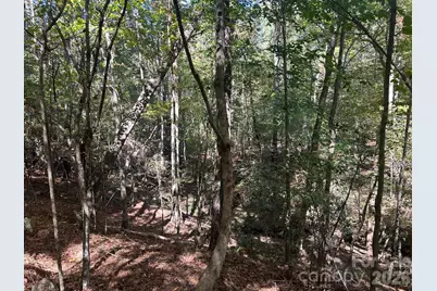 5 Ac Lot 5 Ernandez Road, Richburg, SC 29729 - Photo 33