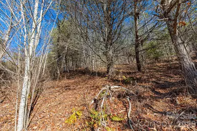 999 Rosalie Lane #6, Waynesville, NC 28785 - Photo 5