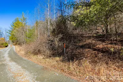 999 Rosalie Lane #6, Waynesville, NC 28785 - Photo 3