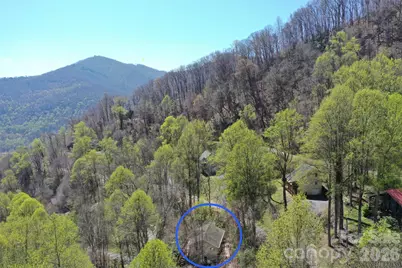 650 Creekside Drive, Maggie Valley, NC 28751 - Photo 3