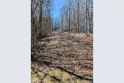 #49 Hazel Top Section, Teaberry Ridge Road, Waynesville, NC 28786 - Photo 3
