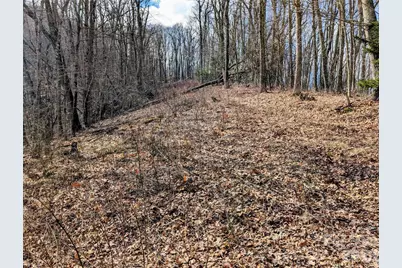 #49 Hazel Top Section, Teaberry Ridge Road, Waynesville, NC 28786 - Photo 1