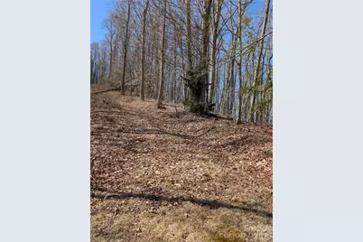 #49 Hazel Top Section, Teaberry Ridge Road, Waynesville, NC 28786 - Photo 11