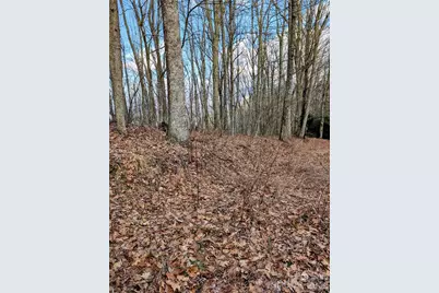 #49 Hazel Top Section, Teaberry Ridge Road, Waynesville, NC 28786 - Photo 5