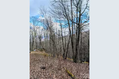 #49 Hazel Top Section, Teaberry Ridge Road, Waynesville, NC 28786 - Photo 7