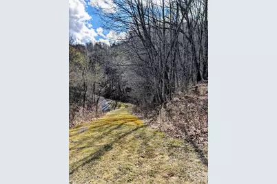 #49 Hazel Top Section, Teaberry Ridge Road, Waynesville, NC 28786 - Photo 9