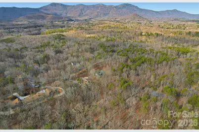 465 Mountain Laurel Drive, Columbus, NC 28722 - Photo 23