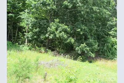 #6 Mystic View Lane, Black Mountain, NC 28711 - Photo 1