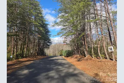 Lot 44 Dalton Court, Lake Lure, NC 28746 - Photo 1