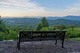 242 Carriage Summitt Way, Hendersonville, NC 28791 - Photo 33