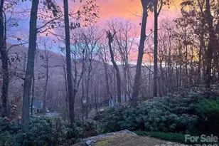 387 Goodview Dr, Hendersonville, NC 28792 - Photo 41