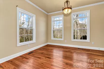 387 Goodview Drive, Hendersonville, NC 28792 - Photo 13